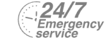 24/7 Emergency Service Pest Control in Caterham, Chaldon, Woldingham, CR3. Call Now! 020 8166 9746