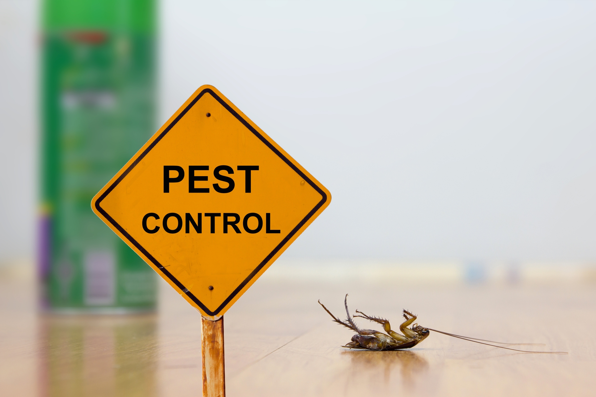 24 Hour Pest Control, Pest Control in Caterham, Chaldon, Woldingham, CR3. Call Now 020 8166 9746